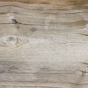 Holz als Element der Gartengestaltung