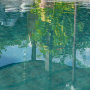 Wasser als Element der Gartengestaltung