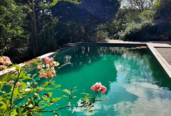 Naturpool in einem grünen Garten