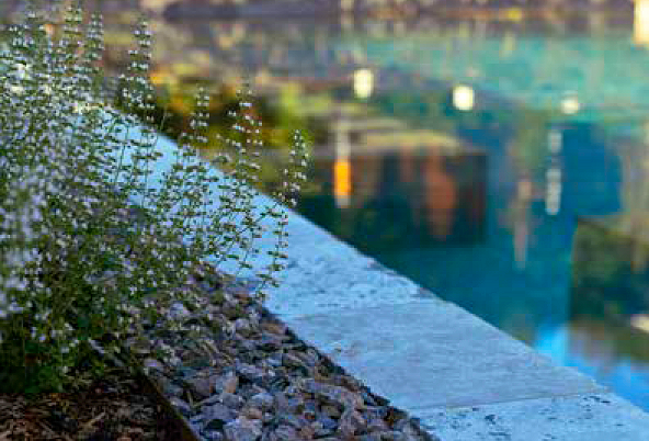 Detailaufnahme eines Gartenpools
