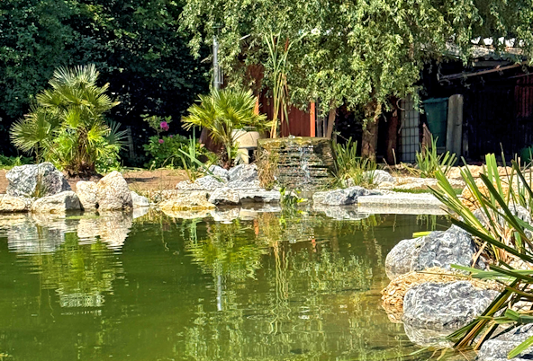 Schwimmteich