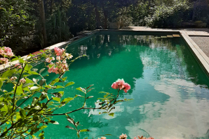 ThomasSchweiger_Naturpools_Galerie_05