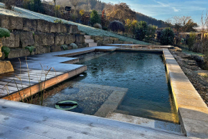 ThomasSchweiger_Naturpools_Galerie_16