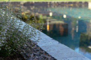 ThomasSchweiger_Naturpools_Galerie_17