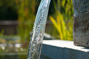 ThomasSchweiger_Naturpools_Galerie_23